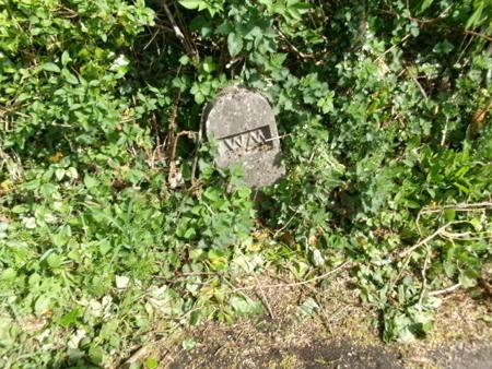100_0575.JPG