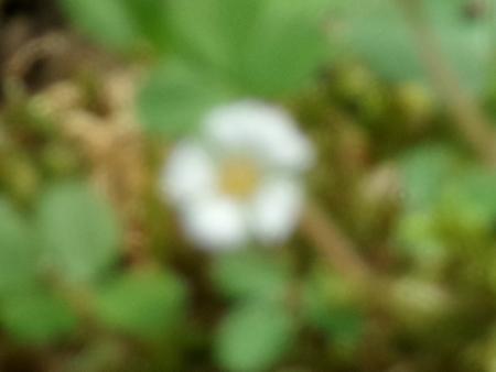100_0581.JPG
