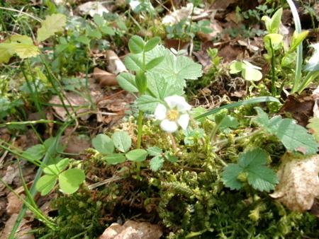 100_0583.JPG