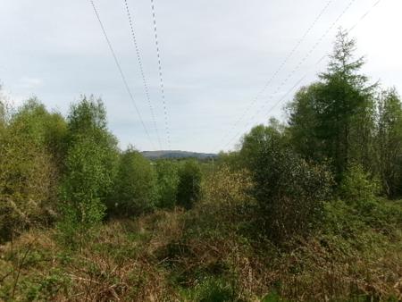 100_0602.JPG