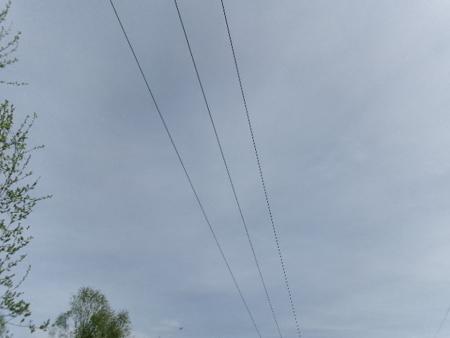100_0603.JPG