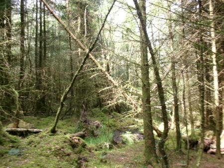 100_0609.JPG