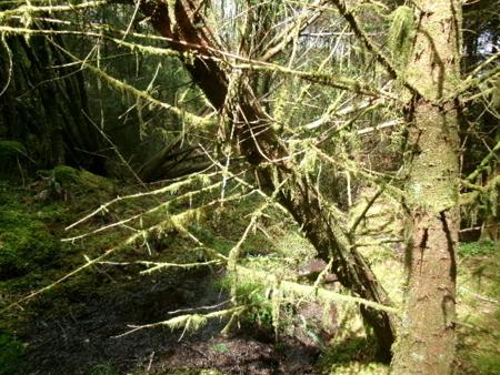 100_0615.JPG