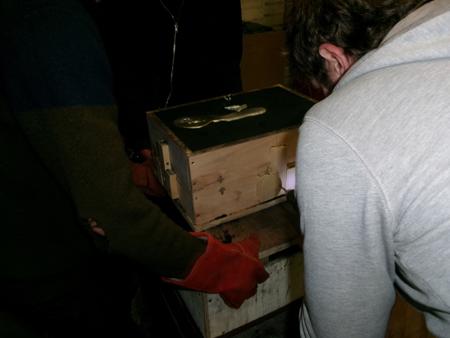 unscrewing the box halves